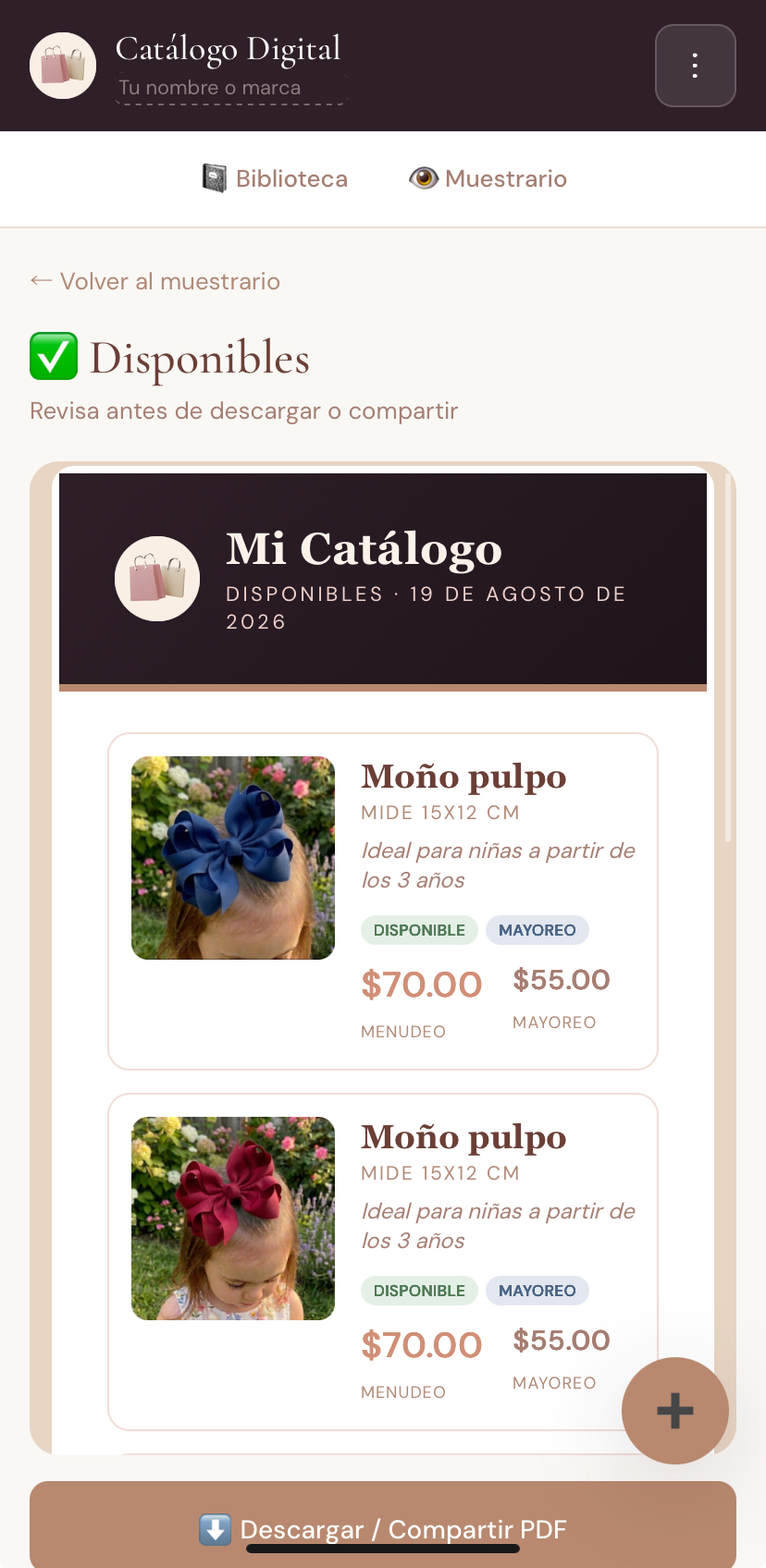 Vista previa del catálogo en PDF antes de compartirlo